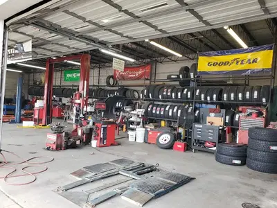 Duckworth Woods Tire