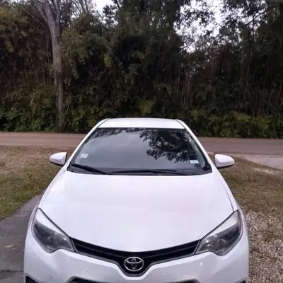 Lights Like New Windshield Repair