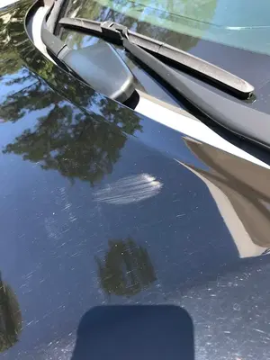 Hartnett Auto Body Inc