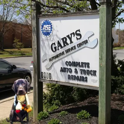 Business Photo