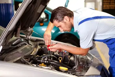 Murray's Auto Clinic Inc.