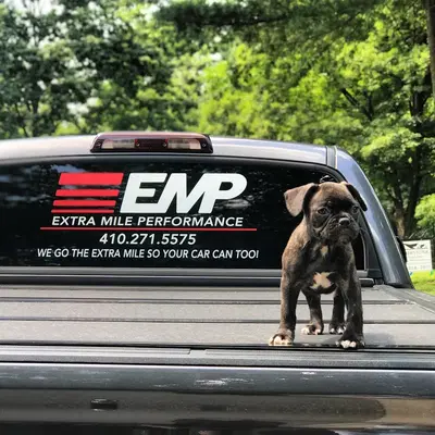 Business Photo
