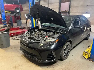 Business Photo