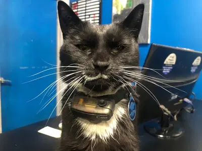 Business Photo