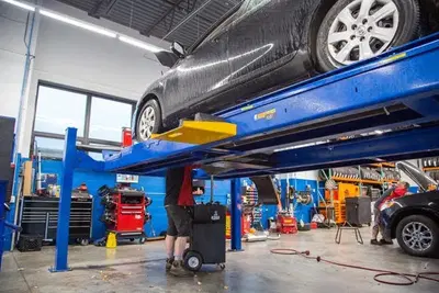 Steve's Auto World of Maple Grove