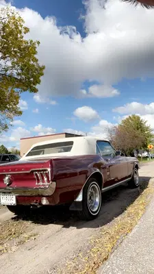 Auto Pros of Chaska
