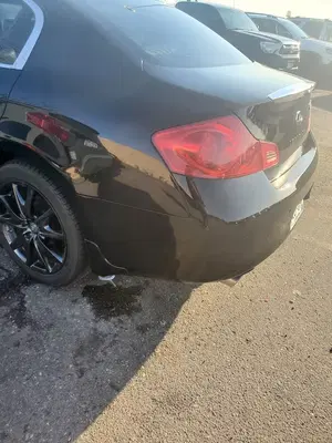Lupient Collision of Brooklyn Park