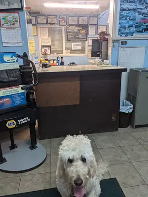 Business Photo