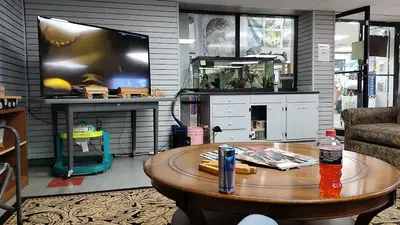 B&R Repair Inc