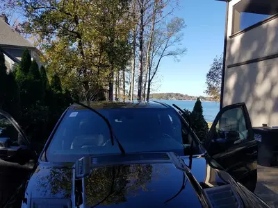 Zebra Auto Glass