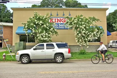 Business Photo