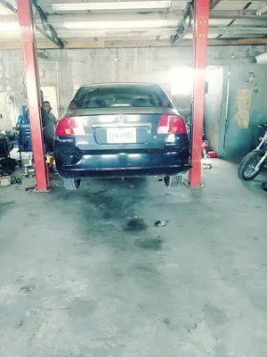 X pert Automotive Repair
