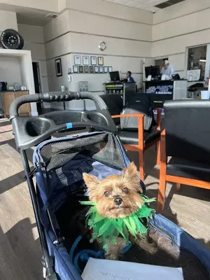 Business Photo