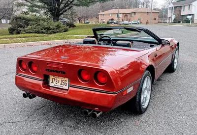 Robertiello's Auto Body Works