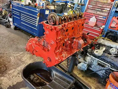 Muscle Auto Repair