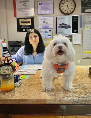 Business Photo