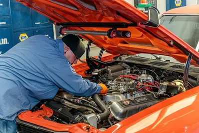 Browns Automotive Experts