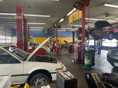 Mango Automotive