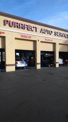 Purrfect Auto Services #515