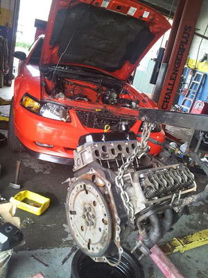 JNM Automotive LLC
