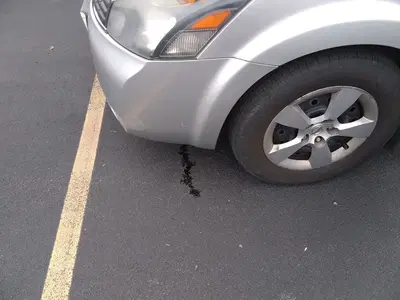 Hobbs Auto