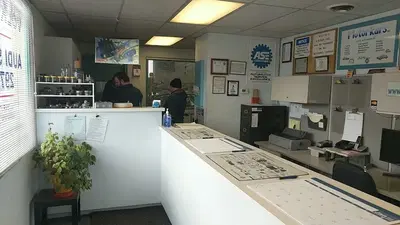 Business Photo