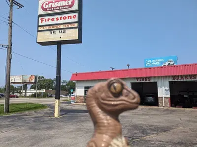 Business Photo