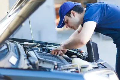 AAMCO Transmissions & Total Car Care
