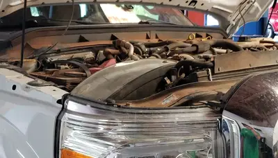 ASE Automotive