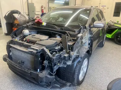 The Dent Guys Hail Repair- TDG Collision