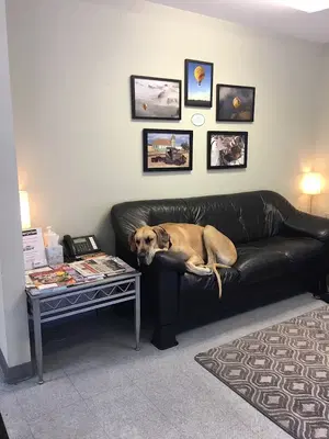 Business Photo