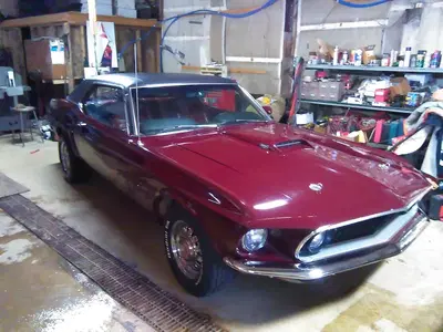 Business Photo