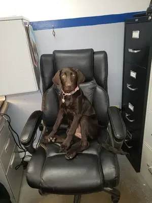 Business Photo