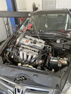 Paradise auto