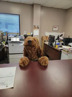 Business Photo