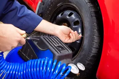Palmetto Auto Service