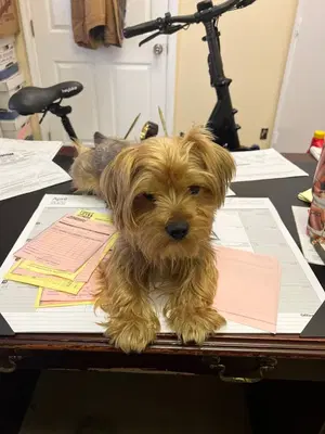 Business Photo