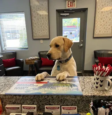 Business Photo