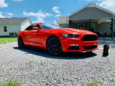 Firestone Complete Auto Care