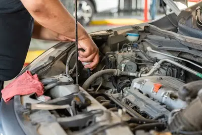 Quiks Oil Change Euless