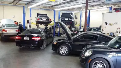 European Auto Care - Lewisville