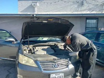 254 Auto Glass & More