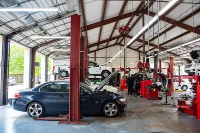 Blackbear Automotive