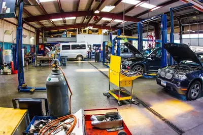 Aardvark Automotive
