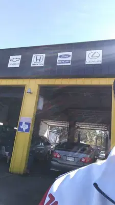 STEIN AUTO REPAIR LLC