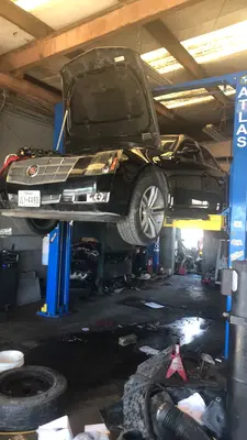 Tama’s Autorepair