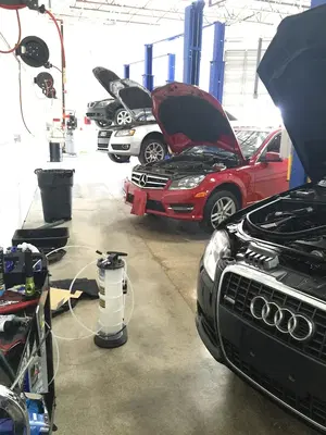 European Auto Care