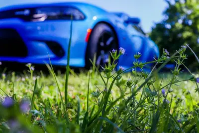 Elite Auto Finish, LLC