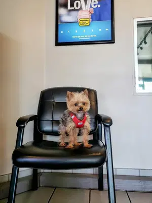 Business Photo