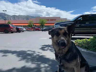 Ogden Body Shop